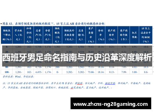 西班牙男足命名指南与历史沿革深度解析 西班牙男足命名指南与历史沿革深度解析