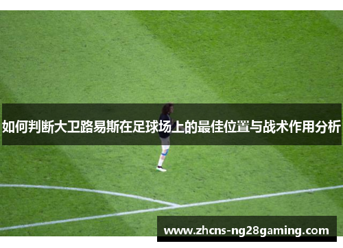 如何判断大卫路易斯在足球场上的最佳位置与战术作用分析