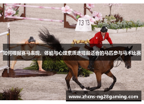 如何根据赛马表现、体能与心理素质选择最适合的马匹参与马术比赛