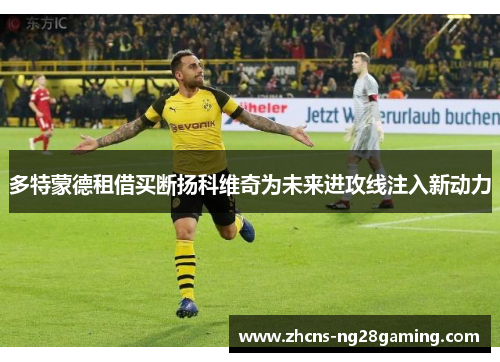 多特蒙德租借买断扬科维奇为未来进攻线注入新动力