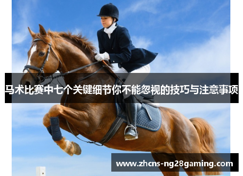 马术比赛中七个关键细节你不能忽视的技巧与注意事项