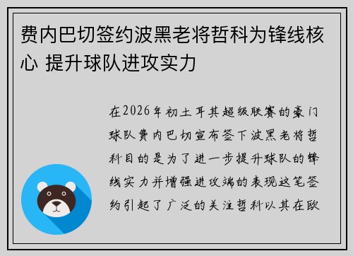 费内巴切签约波黑老将哲科为锋线核心 提升球队进攻实力 费内巴切签约波黑老将哲科为锋线核心 提升球队进攻实力